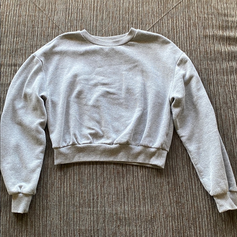 Gray Cropped Sweatshirt